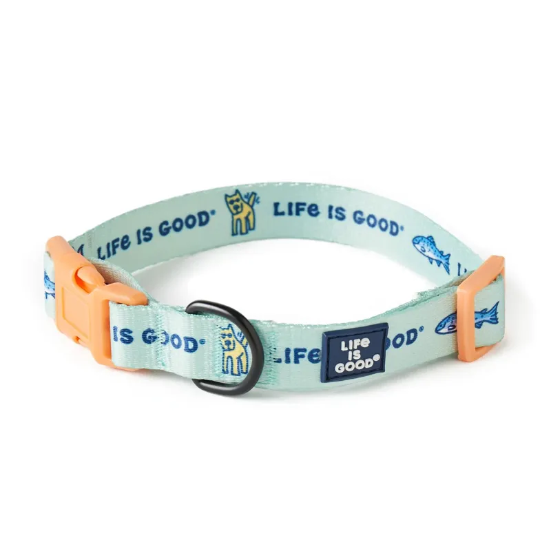 Dog Collar Camp