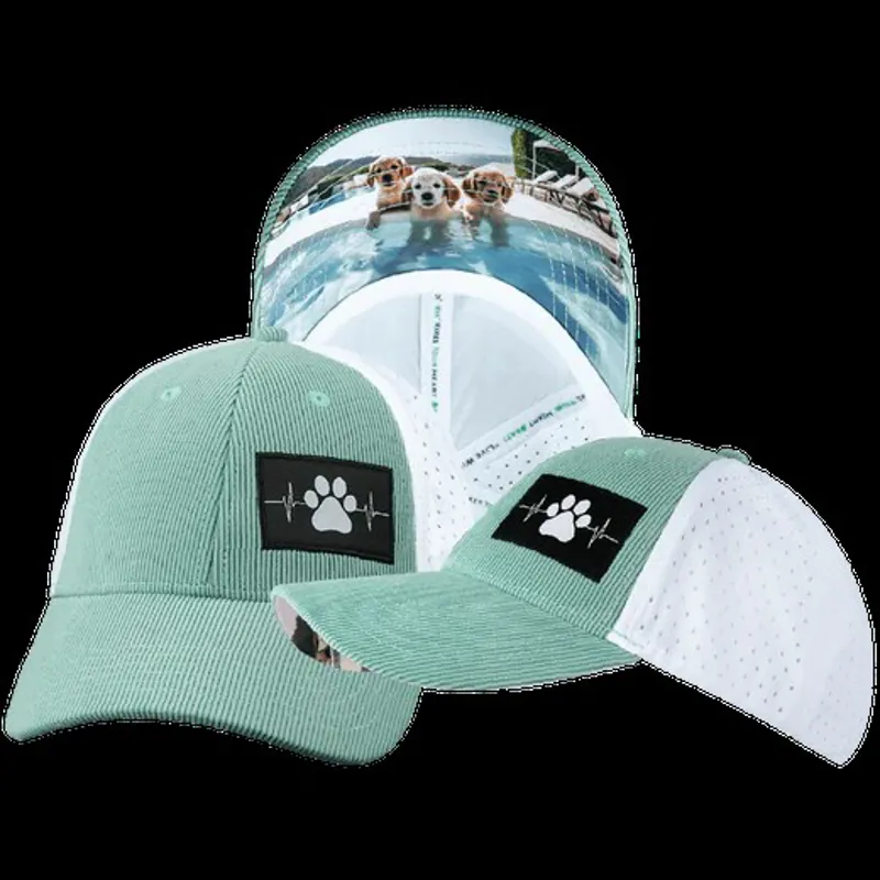 The Heartbeat Brand Dog Flat Bill Laser Mesh Hat in Mint/White